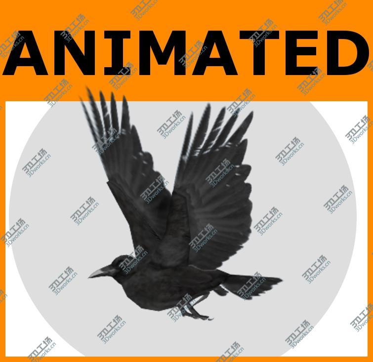 images/goods_img/2021040161/Animated Low Poly Raven/1.jpg